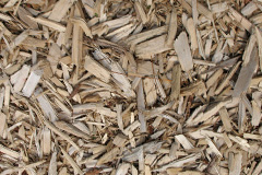 biomass boilers Whitecliff